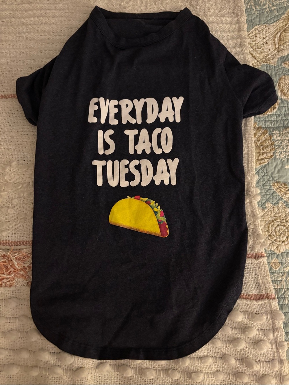 Fabdog Blue Everyday Is Taco Tuesday Sog T-Shirt Size 22”